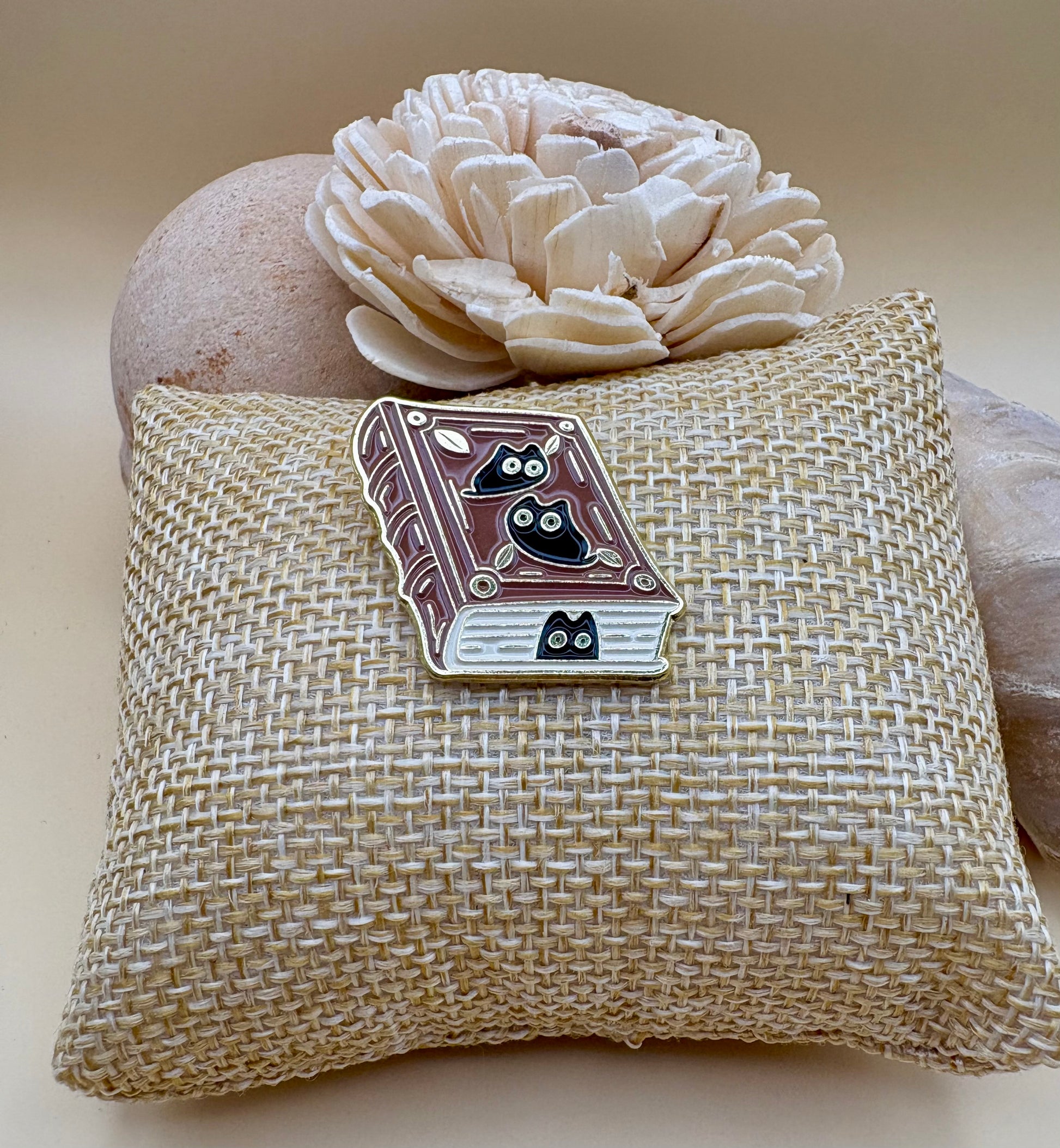 "Books with Owls" Pin